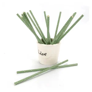 Eco Friendly Paper Straw