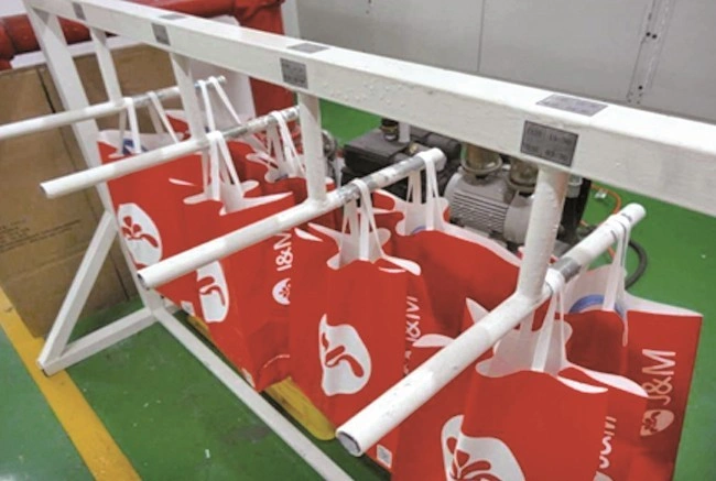 Static Weight Bearing Test